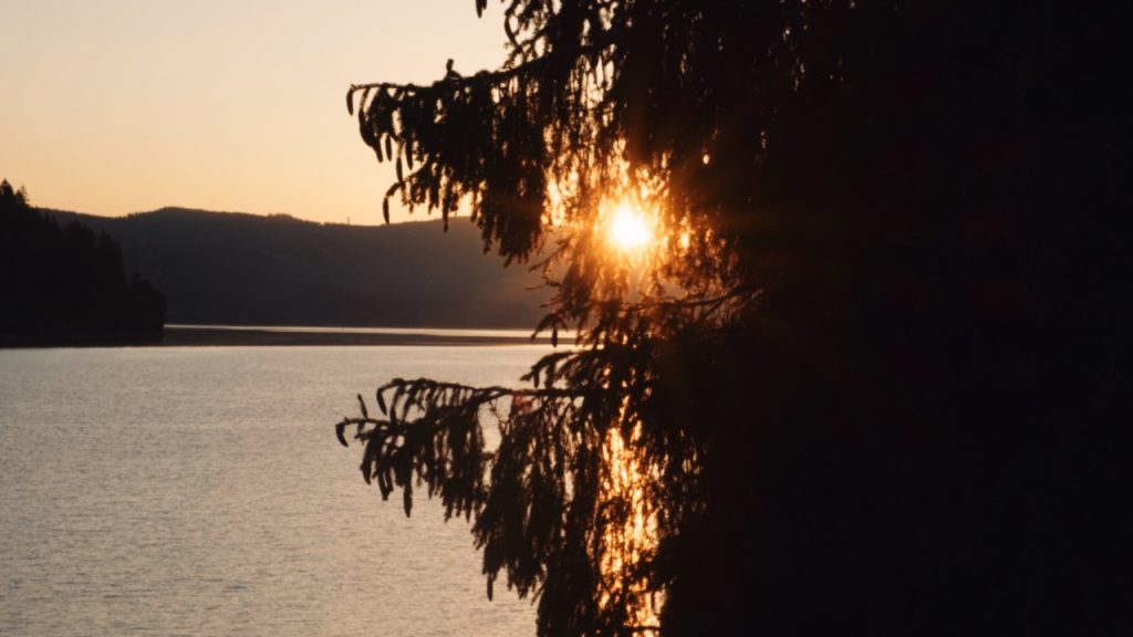 Seenachtsfest Schluchsee 2026: Sommerfest am See