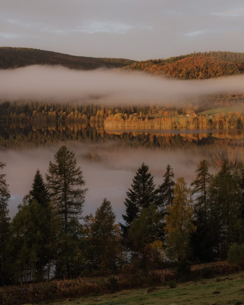 Schwarzwald bei Regen: Wellness und Genuss am Schluchsee