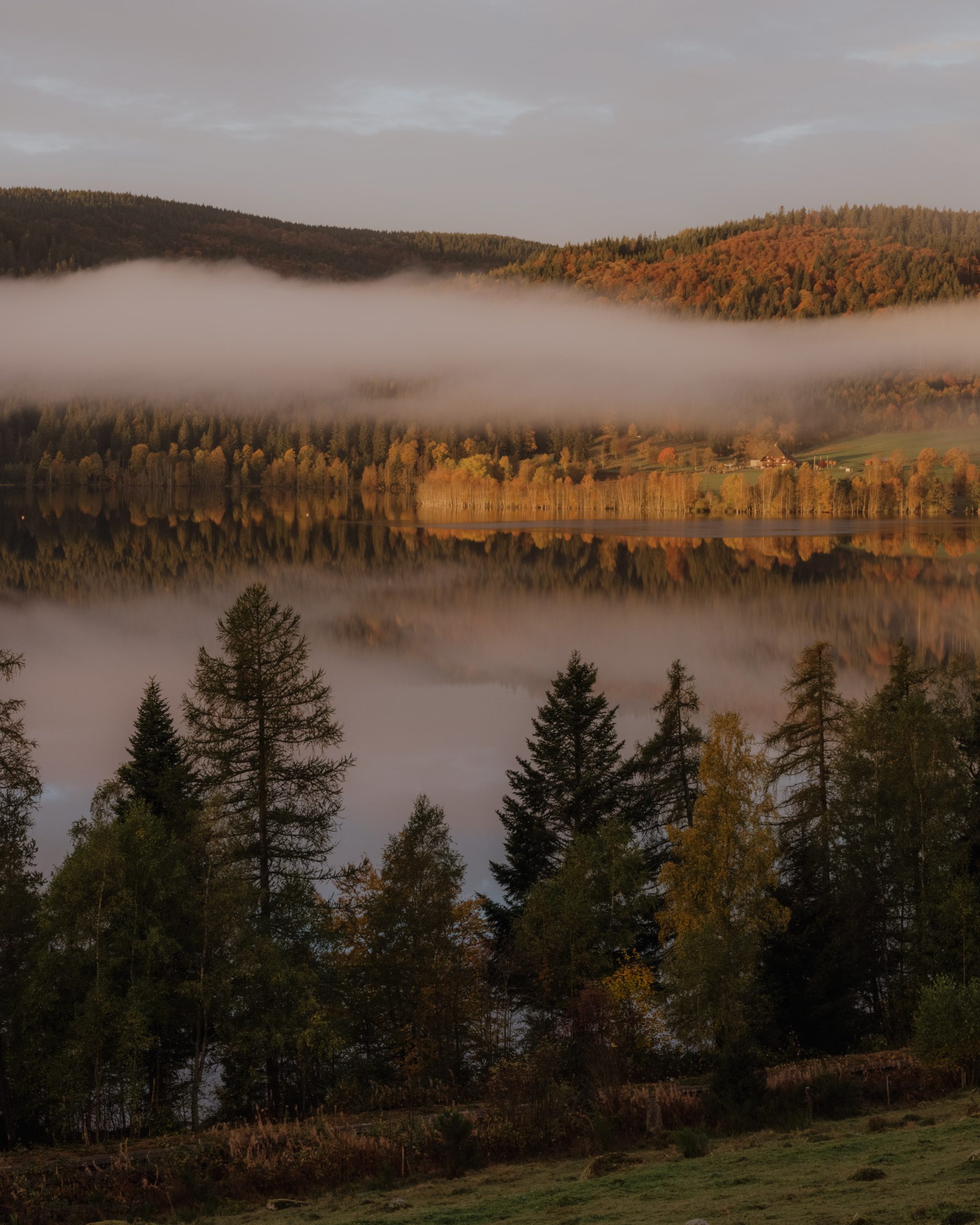 Schwarzwald bei Regen: Wellness und Genuss am Schluchsee